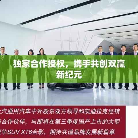 独家合作授权，携手共创双赢新纪元