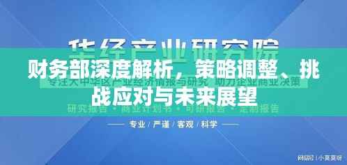 财务部深度解析，策略调整、挑战应对与未来展望